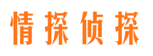 花山侦探